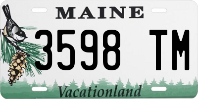 ME license plate 3598TM