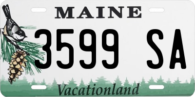 ME license plate 3599SA