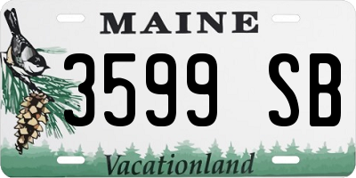 ME license plate 3599SB