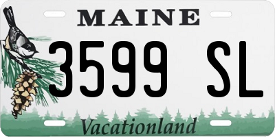 ME license plate 3599SL