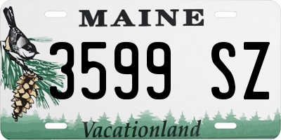 ME license plate 3599SZ