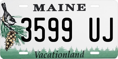 ME license plate 3599UJ