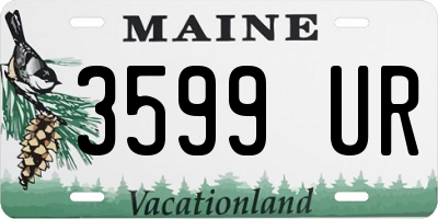 ME license plate 3599UR