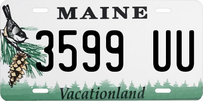 ME license plate 3599UU