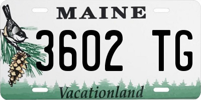 ME license plate 3602TG
