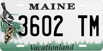 ME license plate 3602TM