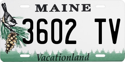 ME license plate 3602TV