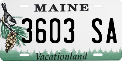 ME license plate 3603SA