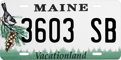 ME license plate 3603SB