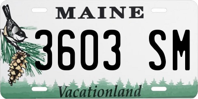 ME license plate 3603SM