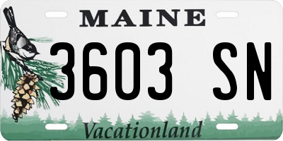 ME license plate 3603SN