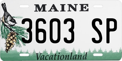 ME license plate 3603SP
