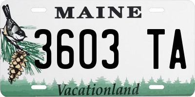 ME license plate 3603TA