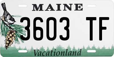ME license plate 3603TF