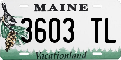 ME license plate 3603TL