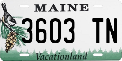 ME license plate 3603TN