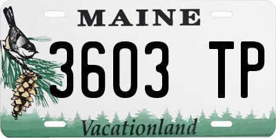 ME license plate 3603TP