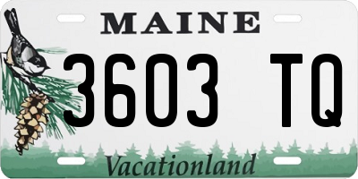 ME license plate 3603TQ