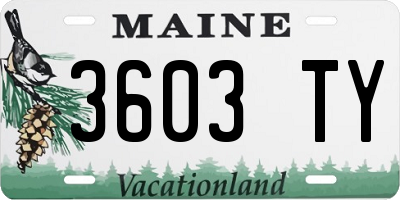 ME license plate 3603TY