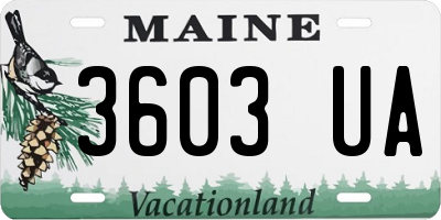 ME license plate 3603UA