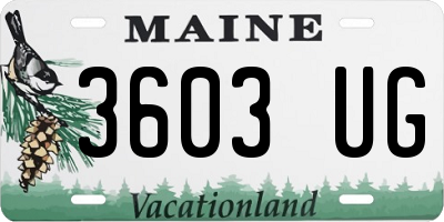 ME license plate 3603UG