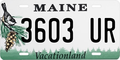 ME license plate 3603UR