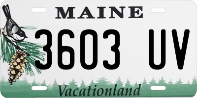 ME license plate 3603UV