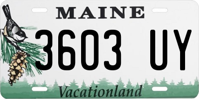 ME license plate 3603UY