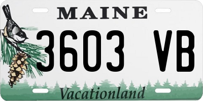 ME license plate 3603VB