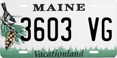 ME license plate 3603VG