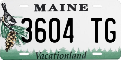 ME license plate 3604TG