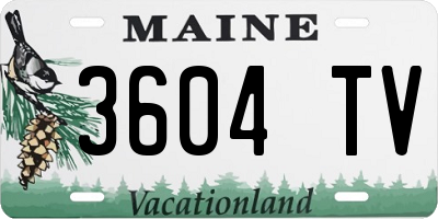 ME license plate 3604TV