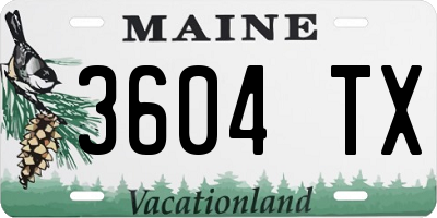 ME license plate 3604TX