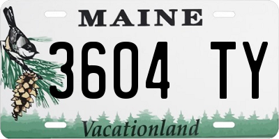 ME license plate 3604TY