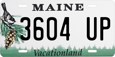 ME license plate 3604UP