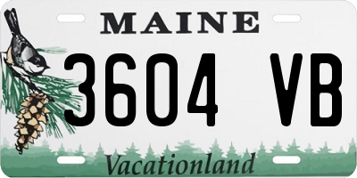 ME license plate 3604VB
