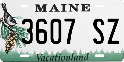 ME license plate 3607SZ