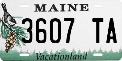 ME license plate 3607TA