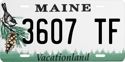 ME license plate 3607TF