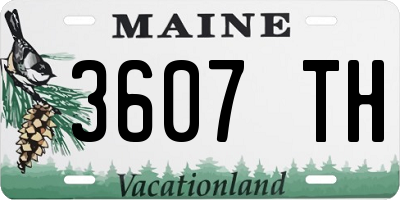 ME license plate 3607TH