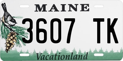 ME license plate 3607TK