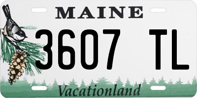 ME license plate 3607TL