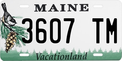 ME license plate 3607TM