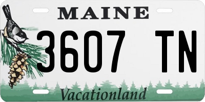 ME license plate 3607TN