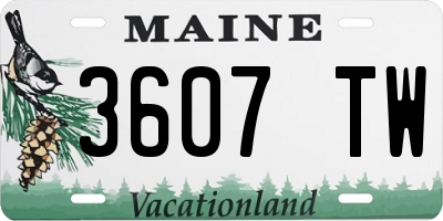 ME license plate 3607TW