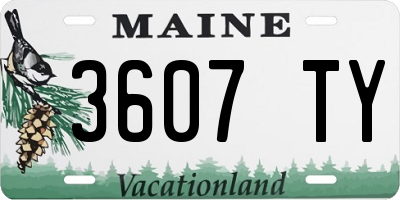 ME license plate 3607TY