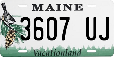 ME license plate 3607UJ