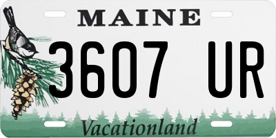 ME license plate 3607UR