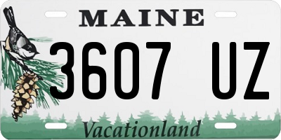 ME license plate 3607UZ