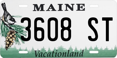 ME license plate 3608ST